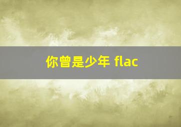 你曾是少年 flac